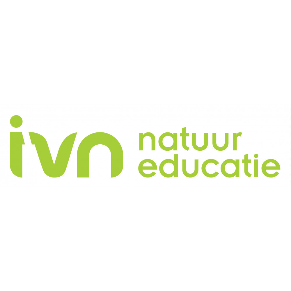 logo IVN CMYK 01