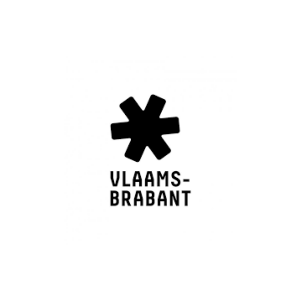 logo vlaams brabant verkleind