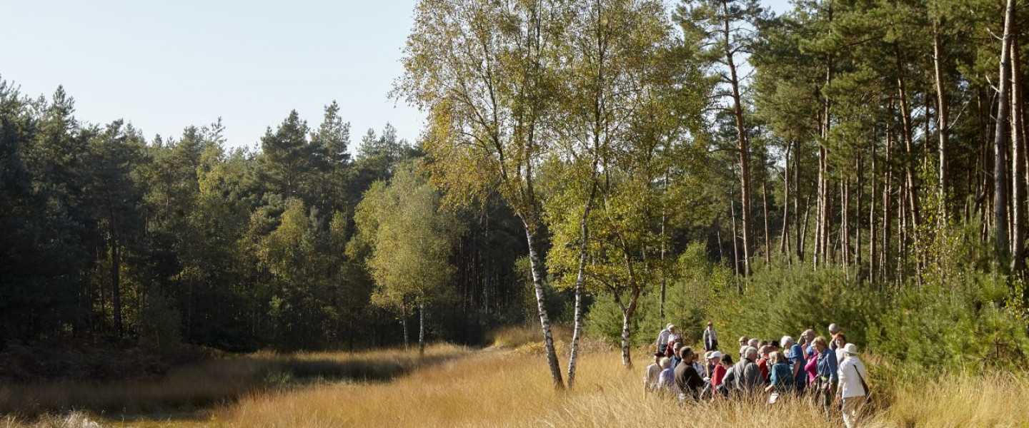 Beschermers excursie De Groote Heide