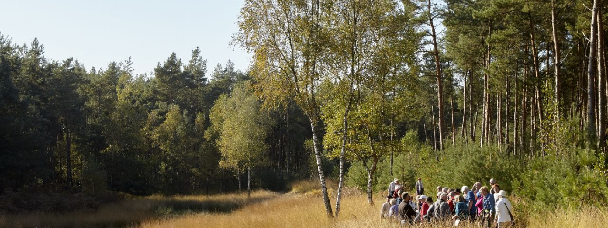 Beschermers excursie De Groote Heide