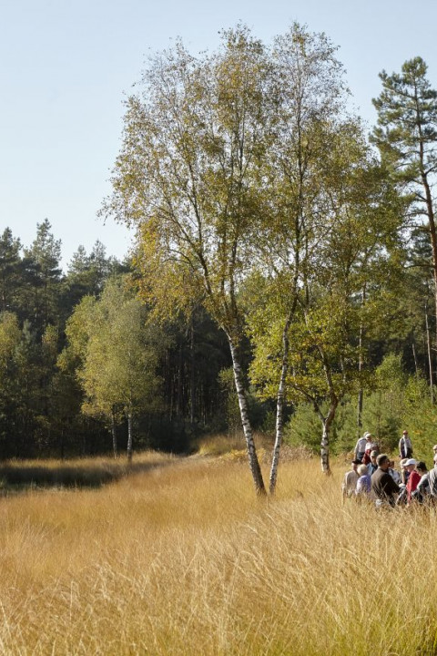 Beschermers excursie De Groote Heide