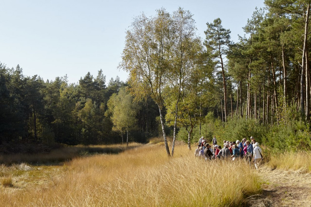 Beschermers excursie De Groote Heide