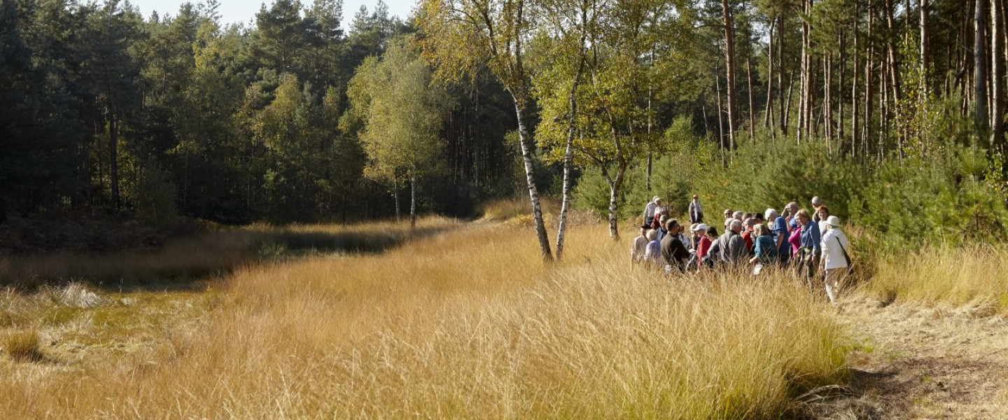 Beschermers excursie De Groote Heide