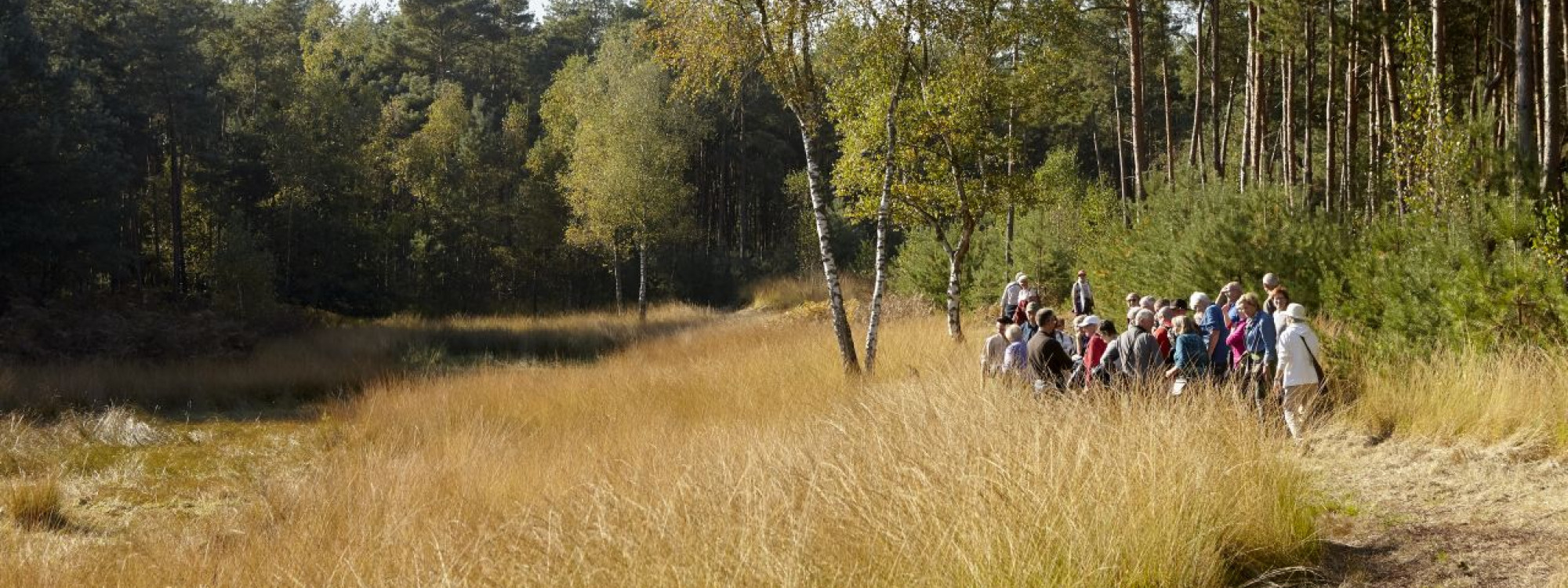 Beschermers excursie De Groote Heide