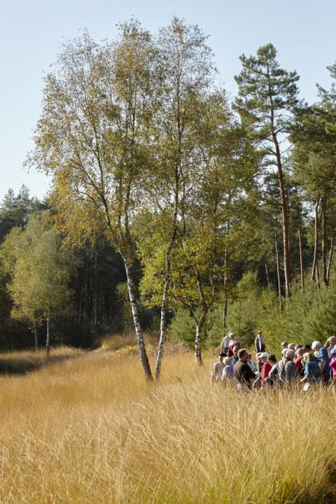 Beschermers excursie De Groote Heide