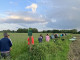 Herinrichting Antoniushoeve