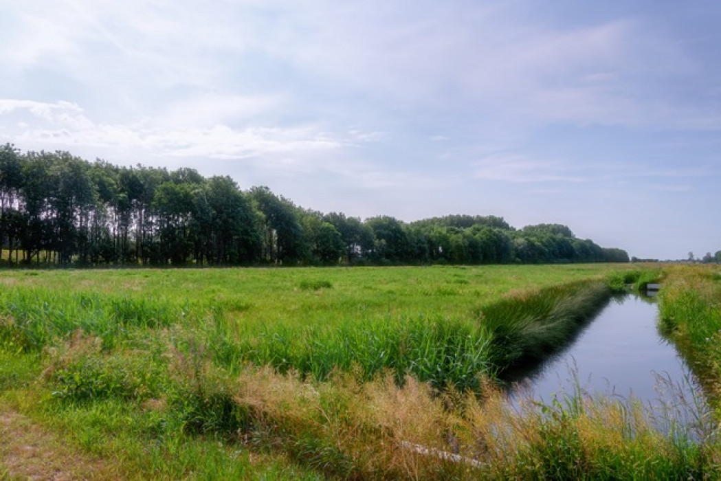 Aanvangssituatie Locatie boscompensatie - Pompveld 