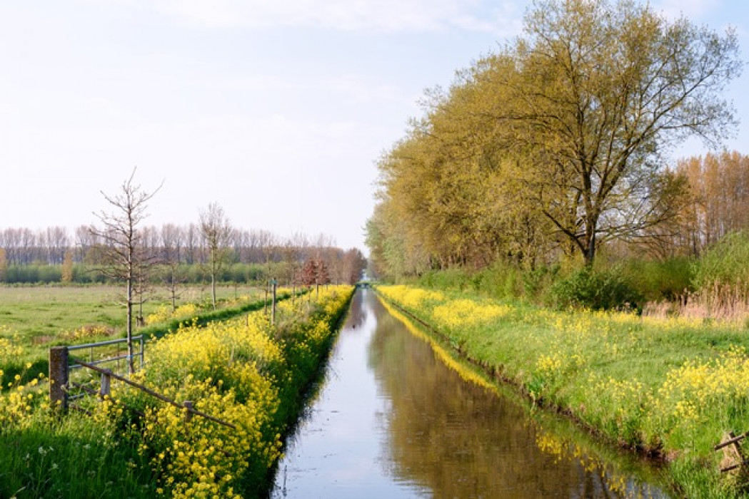 Aanvangssituatie Locatie omleiding noord Eendenveld