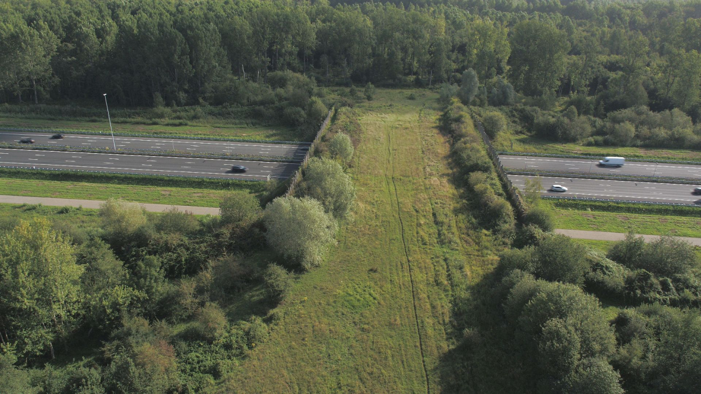 Natuurbrug Het Groene Woud - James van Leuven