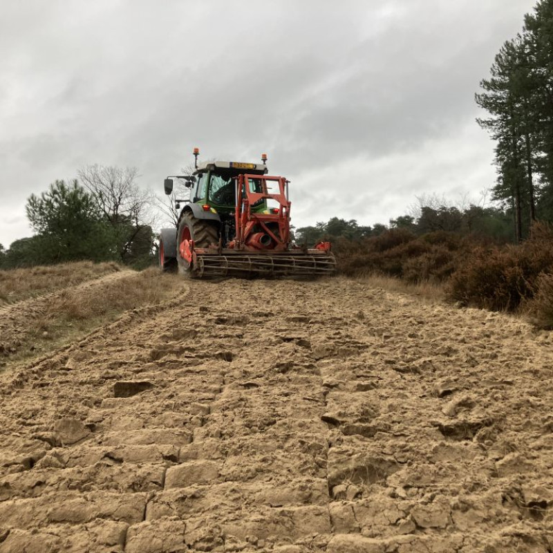 20251219 090855935 iOS