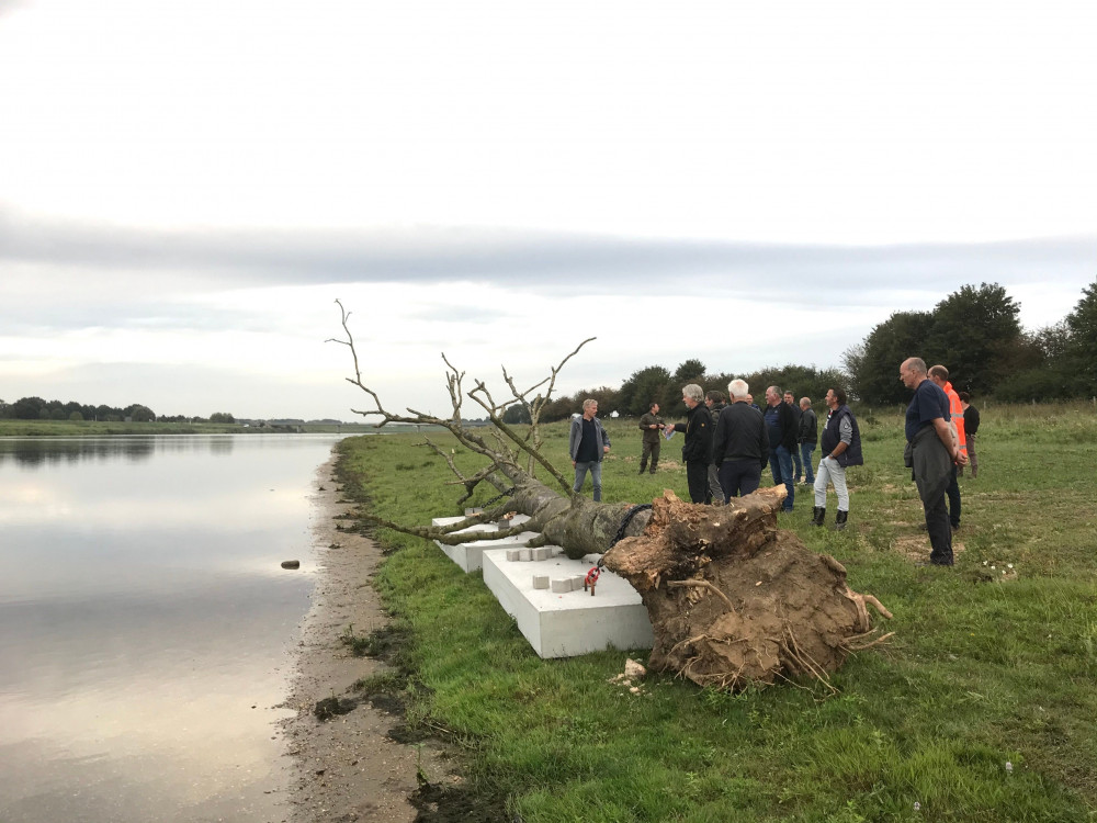 Rivierhout in Keent - Brabants Landschap