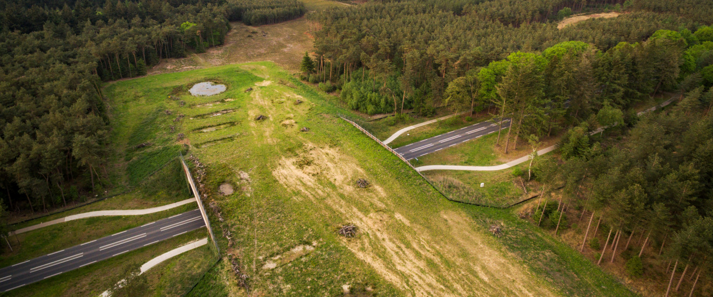 Natuurbrug - Marijn Heuts