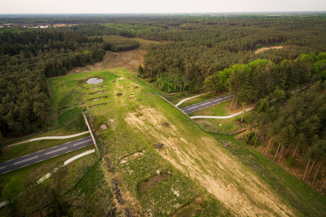 Natuurbrug - Marijn Heuts