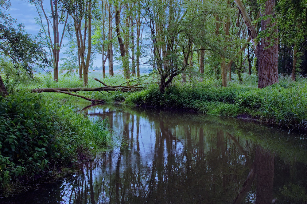 Groote Beerze - Huub Smeding