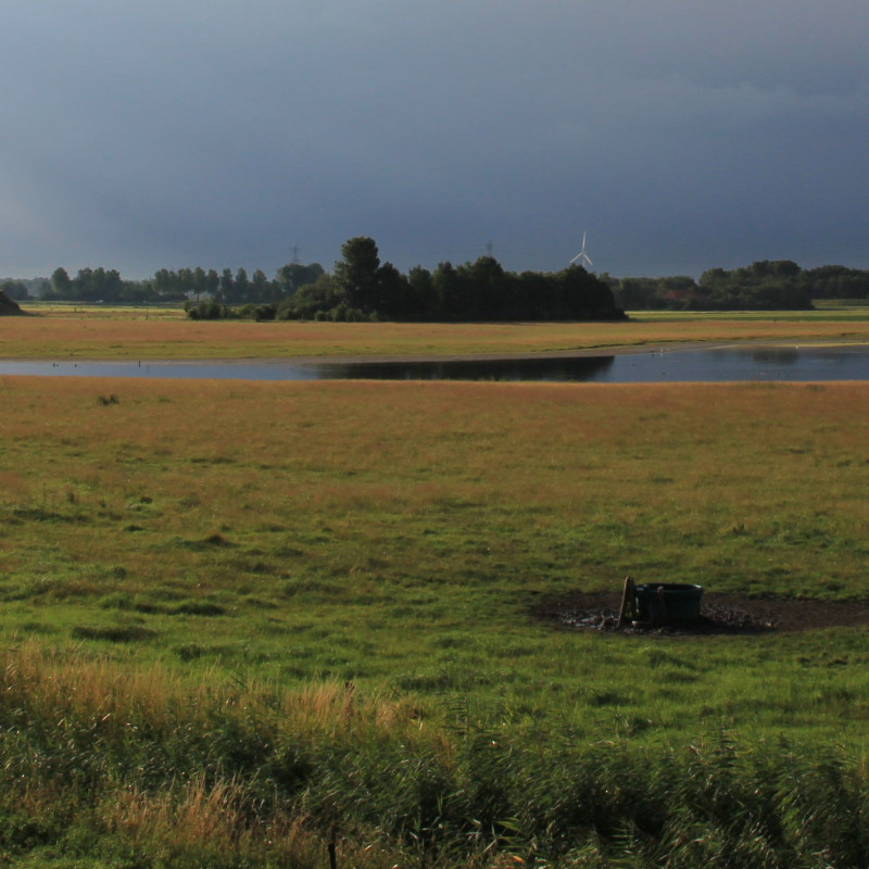 Hogerwaardpolder