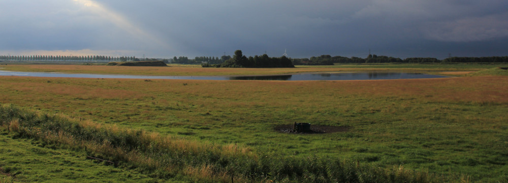 Hogerwaardpolder