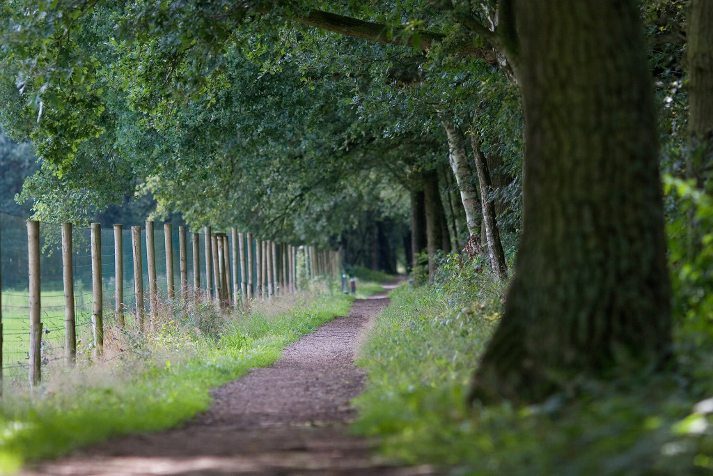 Hugter Heide 22072008 0069