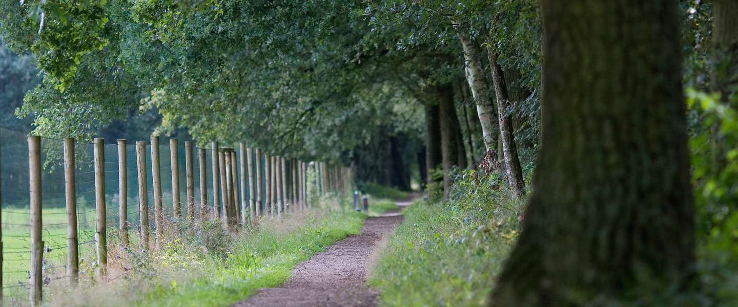 Hugter Heide 22072008 0069