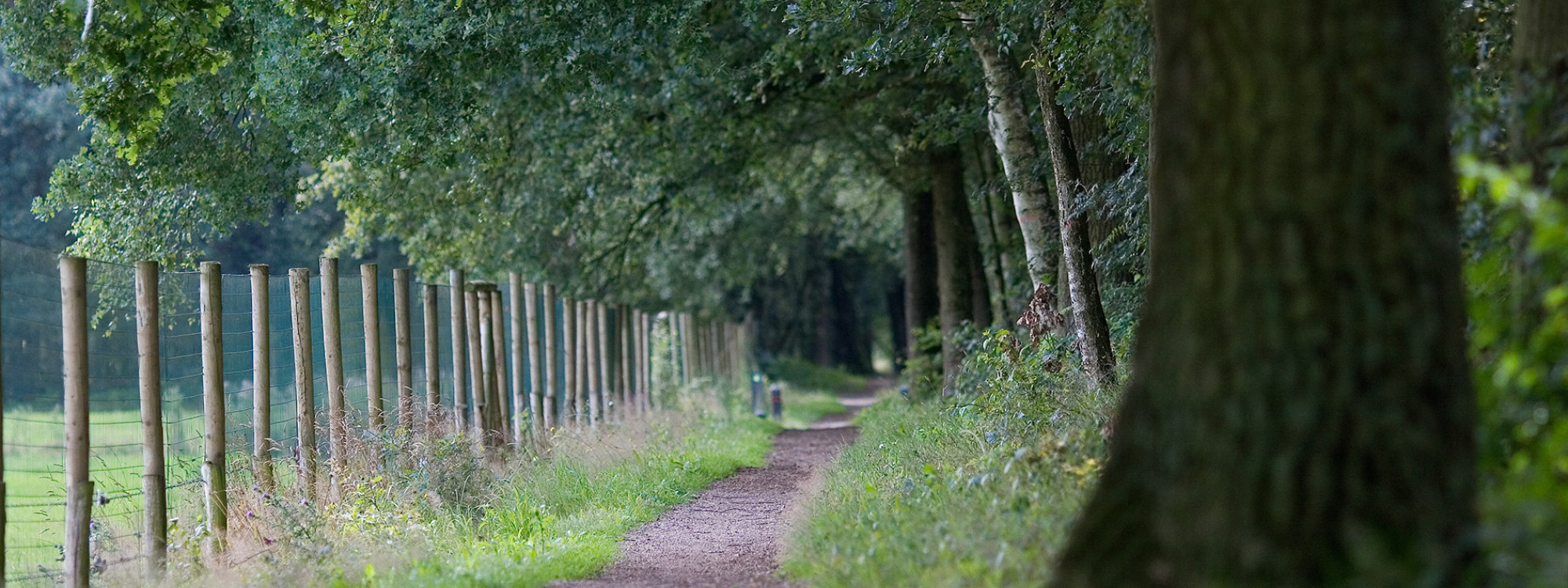 Hugter Heide 22072008 0069