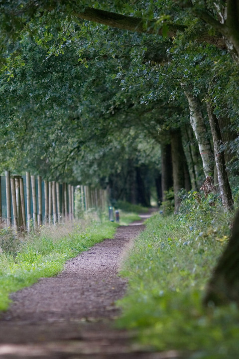 Hugter Heide 22072008 0069