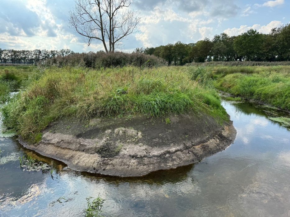 Meander in de Reusel