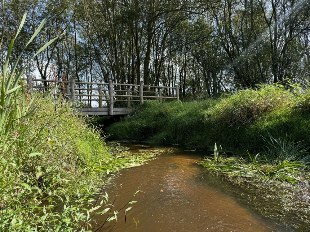 Brug over de Reusel