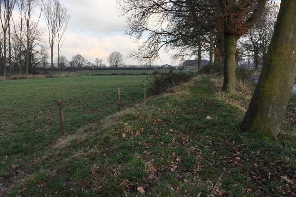 Herstelde houtwal op de Vilt