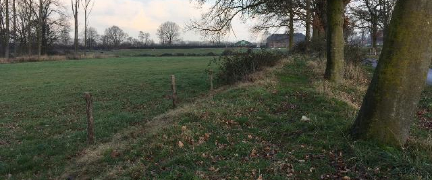 Herstelde houtwal op de Vilt