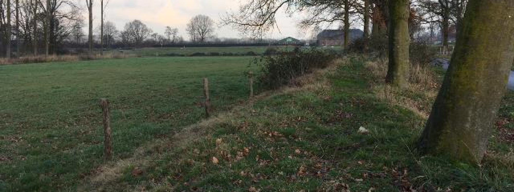 Herstelde houtwal op de Vilt