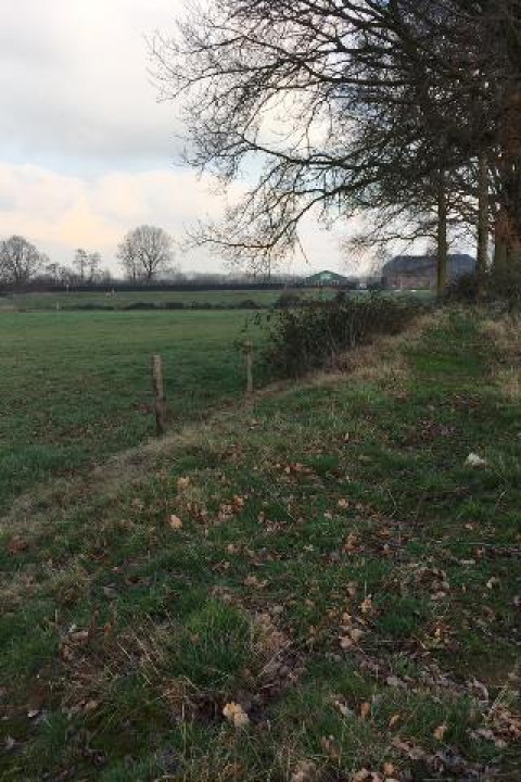 Herstelde houtwal op de Vilt