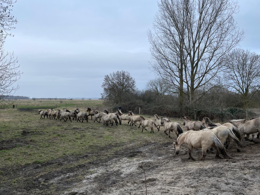 WhatsApp Image 2026 02 05 at 15.25.40