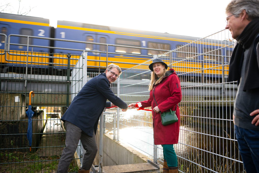 duckdev prorail 02122024 6810 low