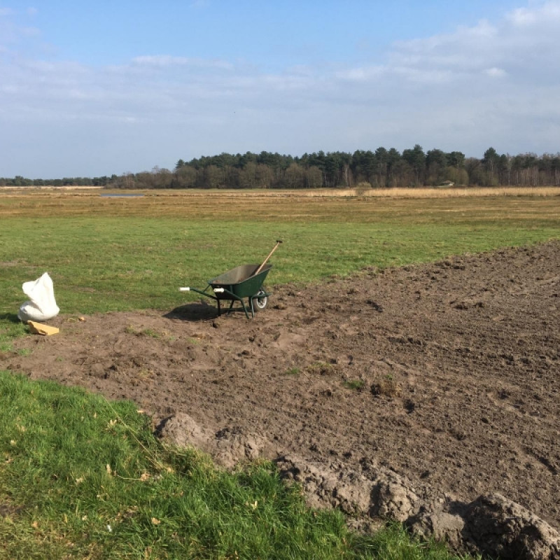 inzaaien akker2 Nardus en Limosa