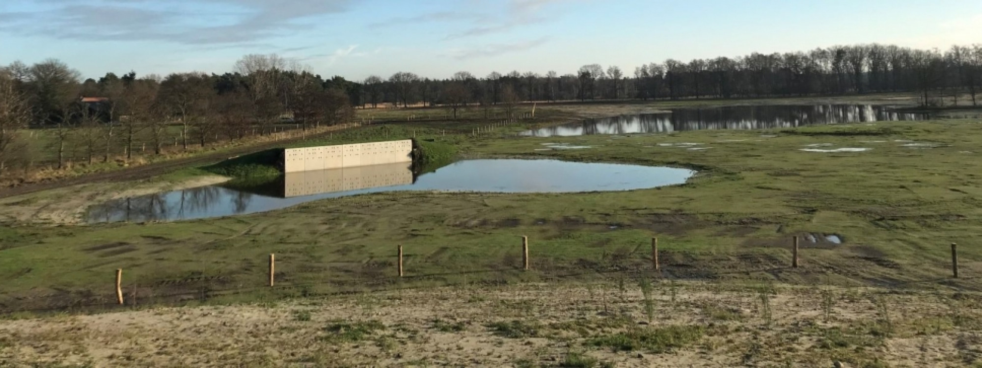 oeverzwaluwwand achtereinds laag