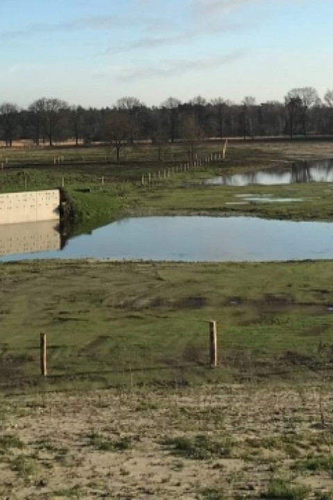 oeverzwaluwwand achtereinds laag