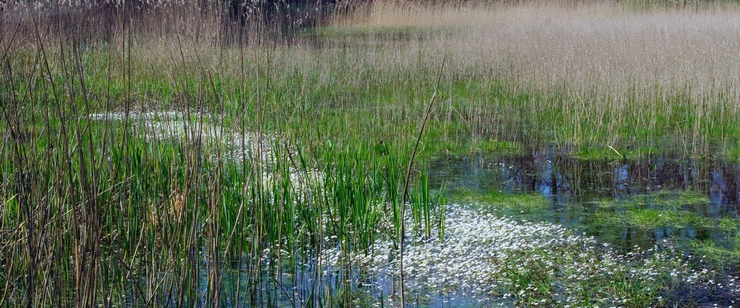 Nuenens Broek - Huub Smeding