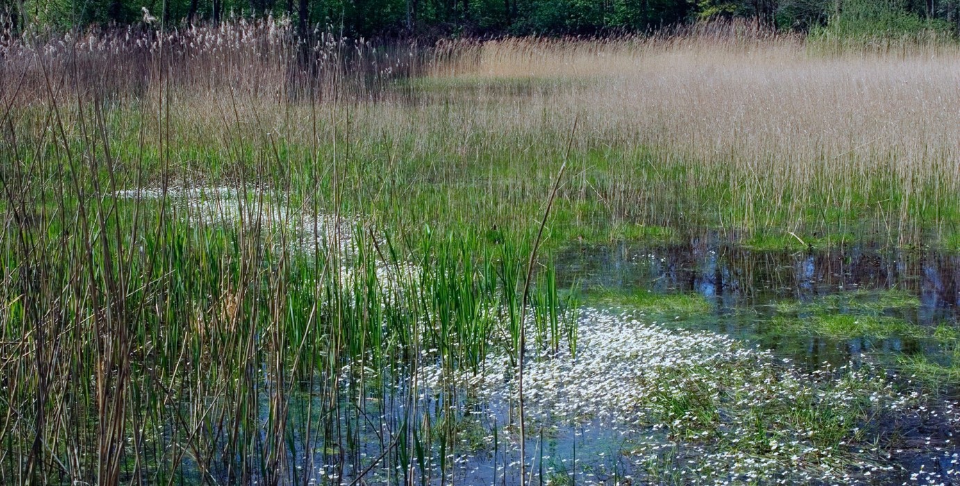 Nuenens Broek - Huub Smeding