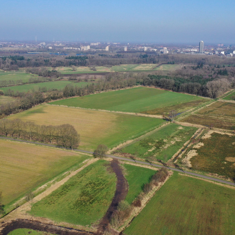 Dooibroek Bossche Broek Zuid
