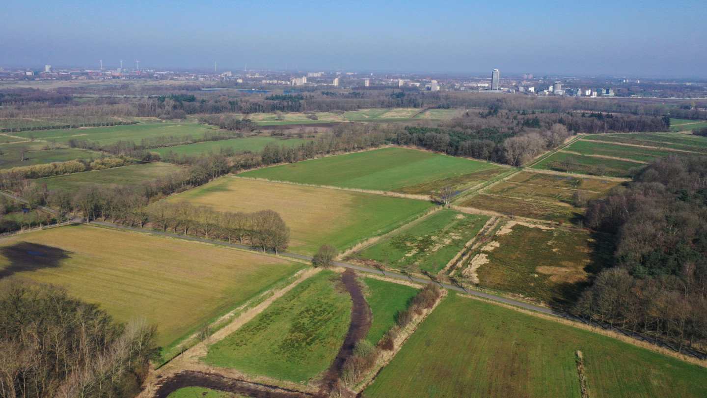 Dooibroek Bossche Broek Zuid