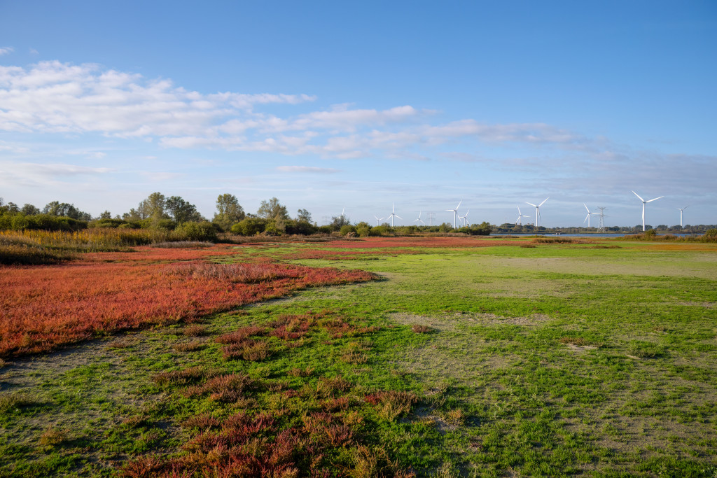 20251009 Markiezaat 40