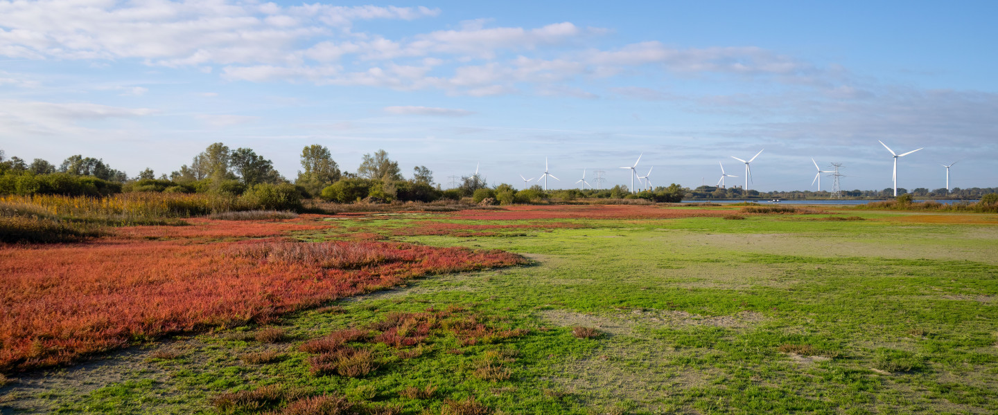 20251009 Markiezaat 40