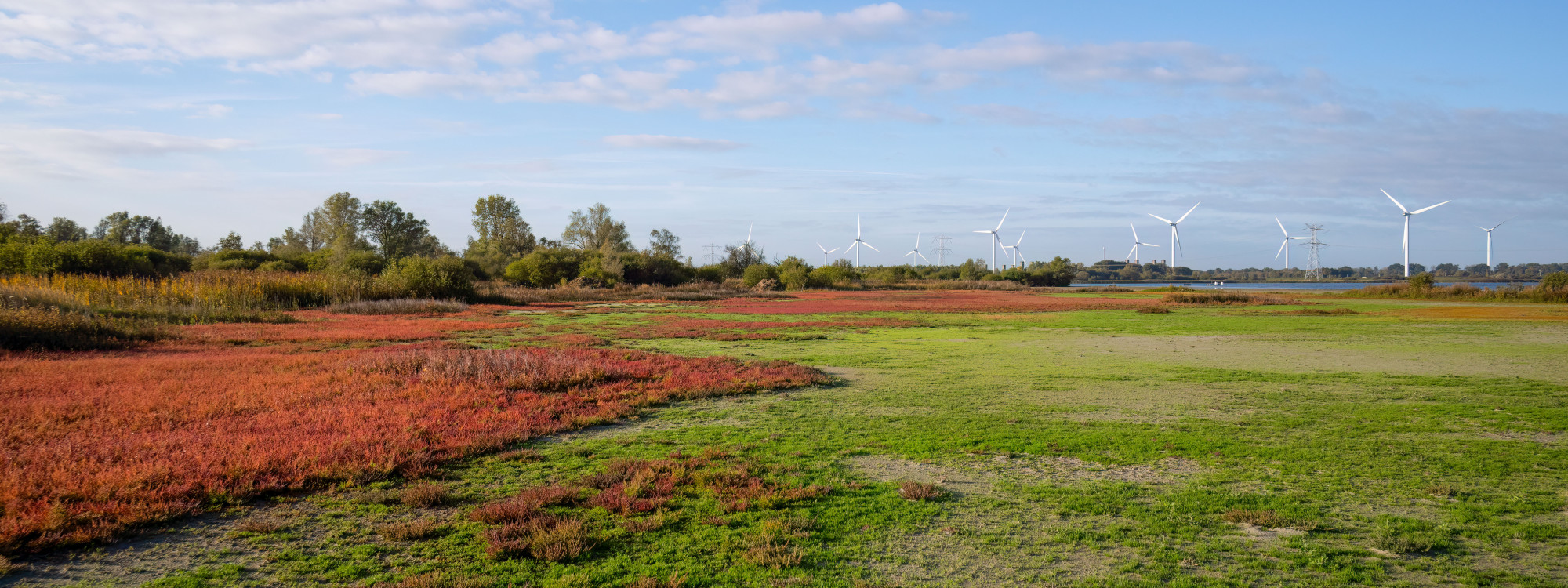 20251009 Markiezaat 40