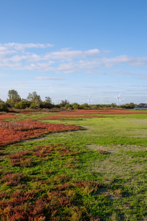 20251009 Markiezaat 40