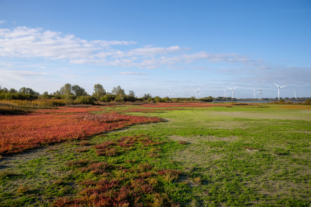 20251009 Markiezaat 40