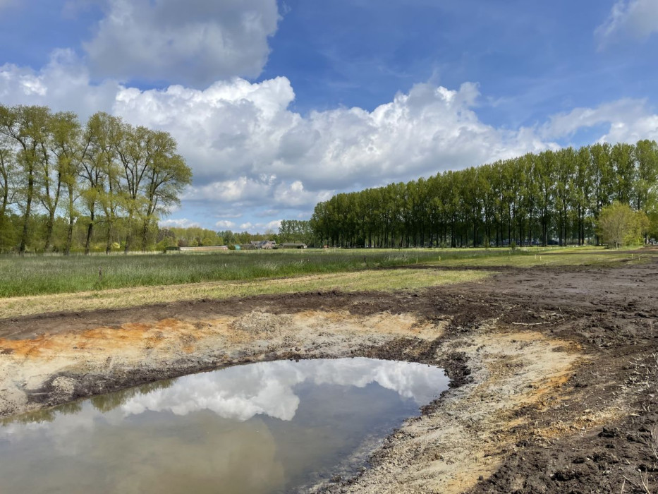 Nieuwe poel langs de Groote Waterloop