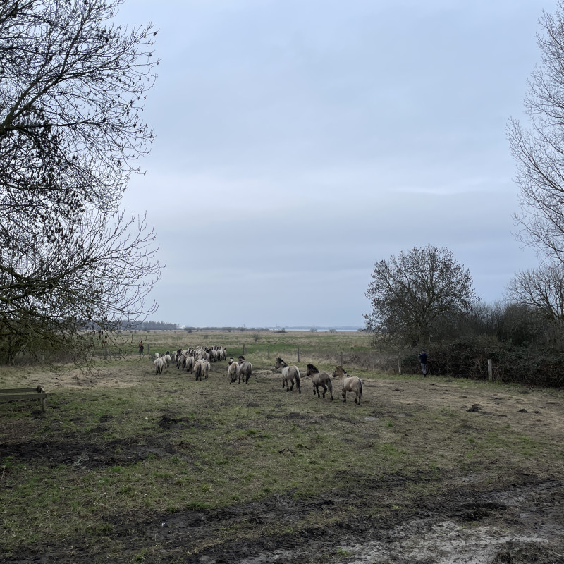 20260205 134707373 iOS