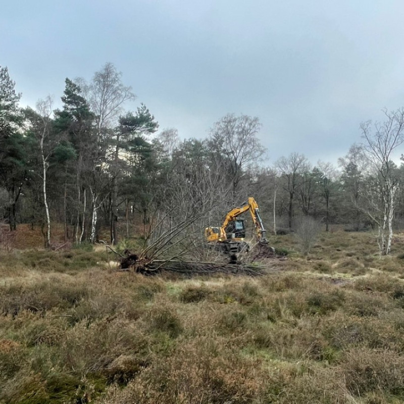 PHOTO 2025 12 11 13 54 51