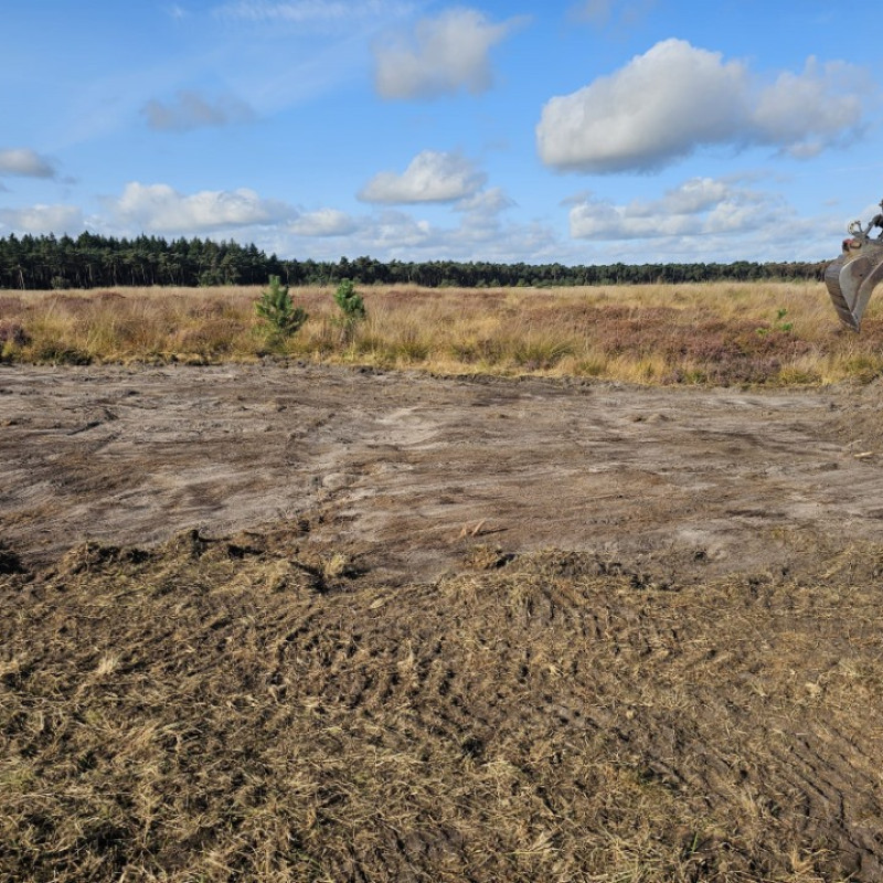 WhatsApp Image 2025 11 06 at 16.37.45 (2)