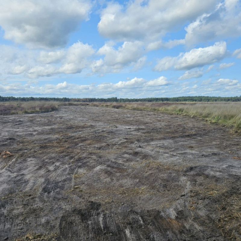 WhatsApp Image 2025 11 06 at 16.37.46 (10)