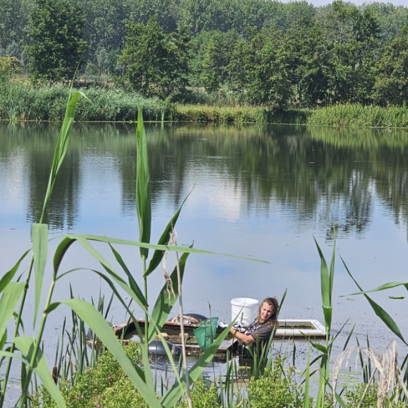 WhatsApp Image 2025 11 06 at 16.48.38